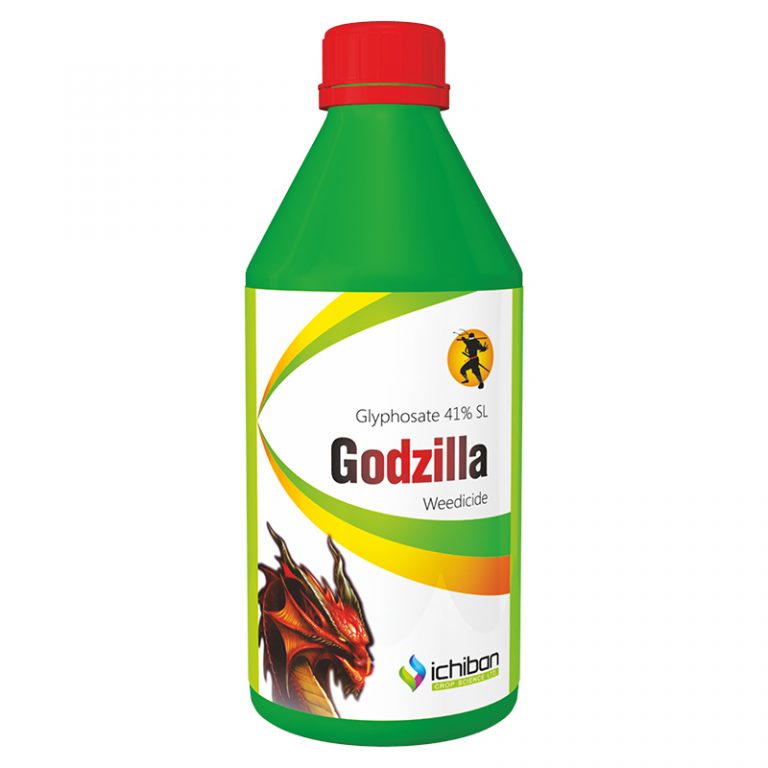 godzilla ichiban